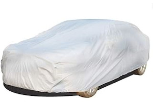 41m5cDUkYZL._AC_UL320_