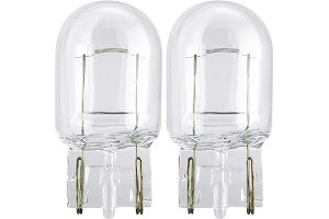 61Y7dp2Ri7L._AC_UL320_